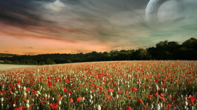 如何评价ReactOS?